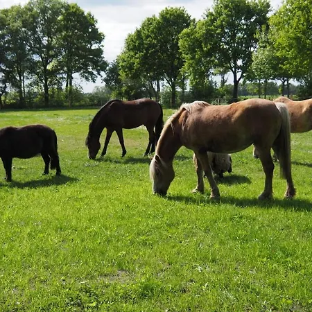 Toedter 2 Nyaraló Schneverdingen